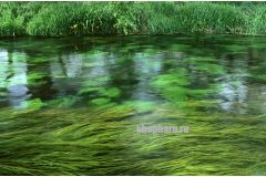 Вода для приготовления самогона